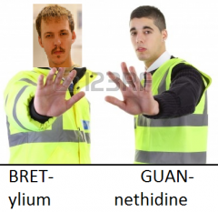 GUAN and BRETT are two best friends who took up jobs as security guards who block vesicles from binding.