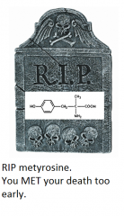 metyrosine will MET his death very early on

binds irreversibly with tyrosine hydroxylase