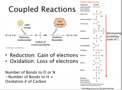 Coupled Reactions