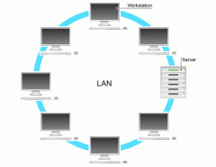 A local area network is a computer network that connects computers within a building or close area to a single server