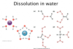Dissolution in water