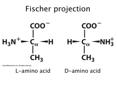Fischer Projections