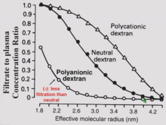 Use dextrans - polymer of polysaccharide that can be polydispersed (contains different MW ranges)

Large dextrans have lower [Filtrate]/[Plasma].
Cationic dextrans filter better at given molecular weight.Polyanionic (sulfated dextrans) filter poo...