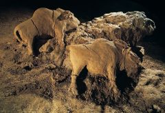 Two Bison
Le Tuc d'Auboubert
15,000-10,000 BCE