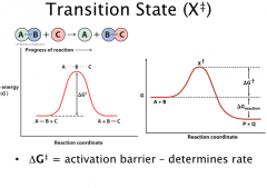Transition State