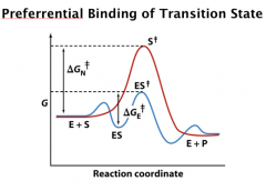 Preferrential Binding of Transition State