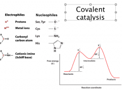 Covalent Catalysis