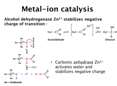 Metal-ion catalysis