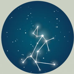 What is the bright star shown in this constellation?