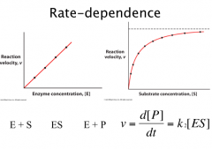Rate Dependence