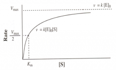 General Features of Enzyme Kinetics