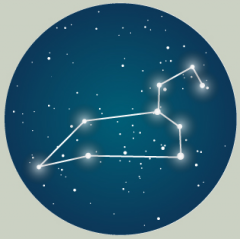 What is the name of the bright star in this constellation?