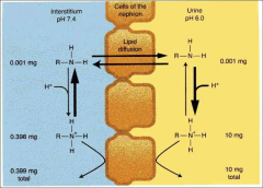 *% Ionization: H-H (pH Partition Hypothesis).

*Compartment in which the drug is more ionized will contain a greater concentration of drug (trapping).
*Figure shows a basic drug trapped in an acid environment.

*Important because this influen...