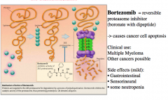 - Reversible proteasome inhibitor that causes cancer apoptosis


 


- Treatment for Multiple Myeloma 


 


- Mild side effects