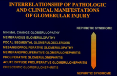 *Diseases in the middle can present as either nephritic or nephrotic.