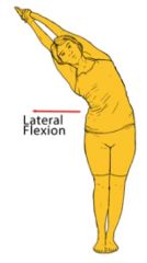 Bending of the vertebral column to the left or right 
