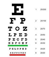 Each eye is checked individually and visual acuity is checked by means of a snellen chart or near card. 

Visual acuity measures only macular vision, which is the central 5 deg. of the visual field.