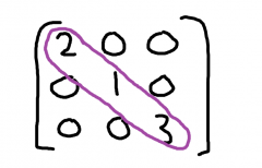 diagonal with rest zeros