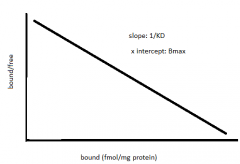 ration of drug bound vs. not bound
Y= bound/free drug
x= bound drug
- slope = -1/KD50
- x intercept = Bmax
- if not perfect straight line = multiple receptor binding sites