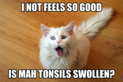Examination (enlargement of tonsils, tonsils may look red).