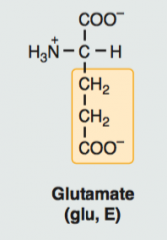 *Part of the acid amino acids. It is charged. 

* Neurotransmitter 

* Used for the synthesis of other amino acids. 

* Used to make glutathione, which is a tripeptide of glutamate, glycine, and cysteine. It is a reducing agent in red blood ce...