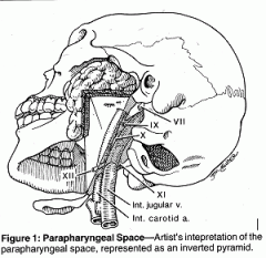 Inverted pyramid with the base at the petrous bone of the skull base
Medial boundary is the lateral pharyngeal wall
Lateral boundary is the medial pterygoid muscle
Posterior boundary is the carotid sheath and the anterior boundary is the pteryg...