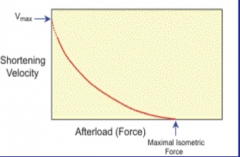 Reciprocal relationship
Increase afterload force --> decrease shortening velocity up to the maximal isometric force