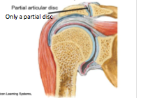 - partial articular disc

shoulder separation in contact sports 

blood supply:
- suprascapular
- throacoacromial 

nerve supply: 
- suprasclaviclar 
- lateral pectorial 
- axillary 