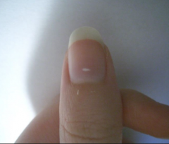 https://fingernails2go.com/nail-care-myths/