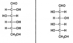 What kind of isomer?