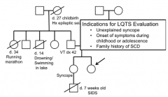 - Unexplained syncope
- Onset of symptoms during childhood or adolescence
- Family history of SCD