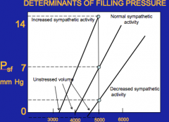 Unstressed volume (at zero at this point) = anything beyond is filing pressure 
Compliance of blood vessels
Blood volume