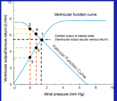 Point of intersection of the cardiac function curve and the vascular function curve.

Review Hassid notes.