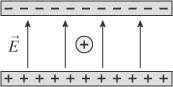 A positively charged particle is motionless in the center of a capacitor.  Describe the subsequent motion of the charged particle.