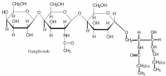 If you hydrolyzed this molecule, how many sugars?