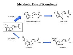 -CYP 1A2 makes it active metabolite then inactive


The concentrated active metabolite is 20-100 xs higher than ramelteon the drug but less potent. 


-CYP 3A4 makes makes it inactive inactive. 