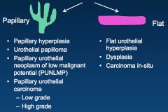 *Papillary urethelial carcinomas are never called carcinoma "in situ." We call them "non-invasive papillary carcinoma."