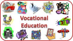 Is your school one of what used to be called vocational schools?


In high school he was given vocational training, along with the rest of his friends.


I see somebody who may have gone to vocational school.


Instead, it is looking for way...