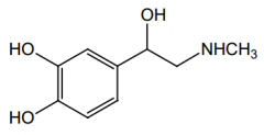 This drug is an agonist of which adrenergic receptors?