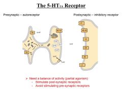 -autoreceptor 


-inhibitory receptor 


 


*need to balance partial agonism. Avoid 5HT1 agonisim cause cvd effects and serotonin syndrome**


We want to avoid stimulating pre synaptic and focus on post synaptic recptor stimulation. 