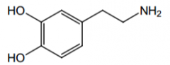 Direct or indirect agonist of β1?