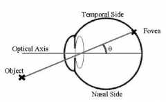 the angle between the visual and optical axis.  positive when the object is on the nasal side of the optical axis.