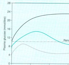 These are the glucose tolerance curves of normal and diabetic subjects. Which curve is for a normal person, one with type I diabetes and a person with type II diabetes?