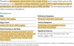 >Phosphorus is the second most abundant mineral in the body. >About 85 percent of it is found combined with calcium in the hydroxyapatite crystals of bones and teeth. 


Toxicity: Calcium excretion