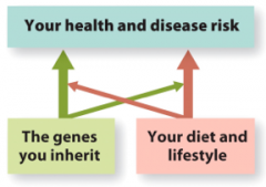 Diet, Genes and Health: Nutrigenomics