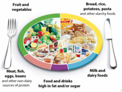 Britain's Eatwell Plate
