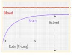 - Extent = How much of the drug can enter the brain


- Rate = How fast the drug can be transported (passively or actively) across the BBB into the brain


- (Intra-brain) distribution = How much unspecifiec binding there is in the brain in co...