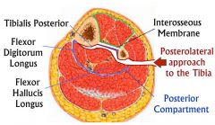  prevent injury to peroneal artery= stay on the posterior surface of the interosseous membrane
prevent injury tothe posterior tibial artery and nerve  = stay on the posterior surface of the interosseous membrane