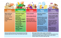 MyPlate, shown here, was introduced in 2011 and is the latest food guide