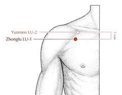On the lateral aspect of the chest, in the first intercostal space, 6 cun lateral to the midline, 1 cun inferior to Lu-2.